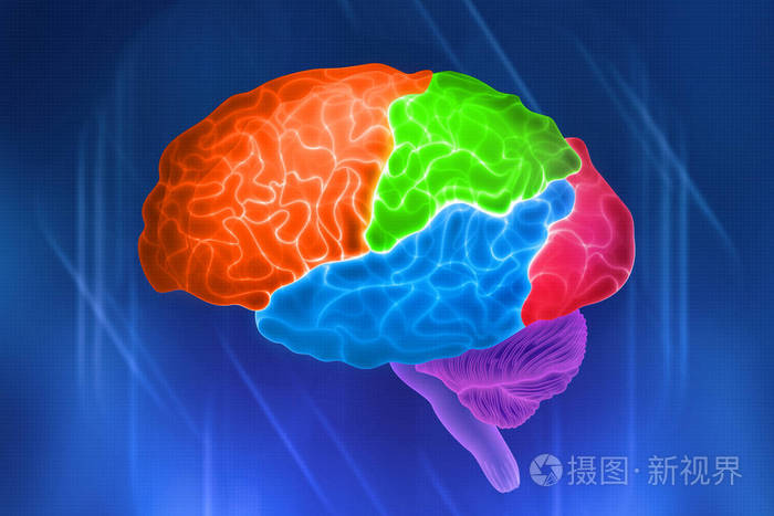 人脑的一部分股票的颜色名称蓝色背景上的数字插图