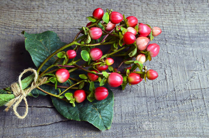 金丝桃(金丝桃)枝条与红色浆果的花安排在乡村木桌上.选择性的焦点.