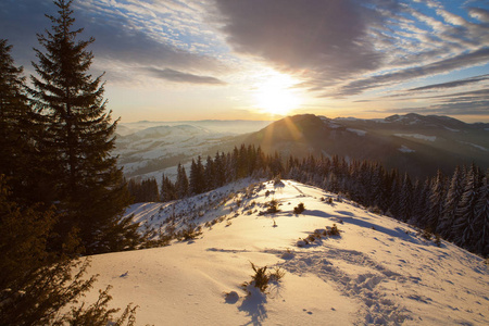 冬天的日出喀尔巴阡山