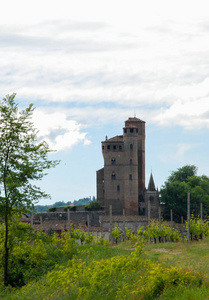 城堡和葡萄园在 Langhe 山, 山麓意大利