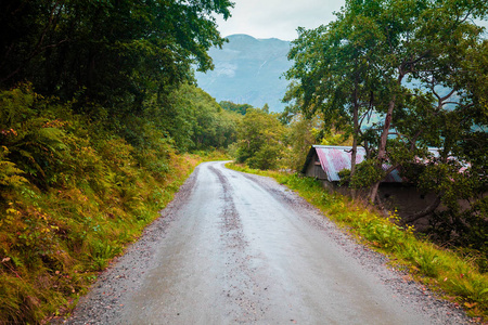 山地曲线路。 自然挪威