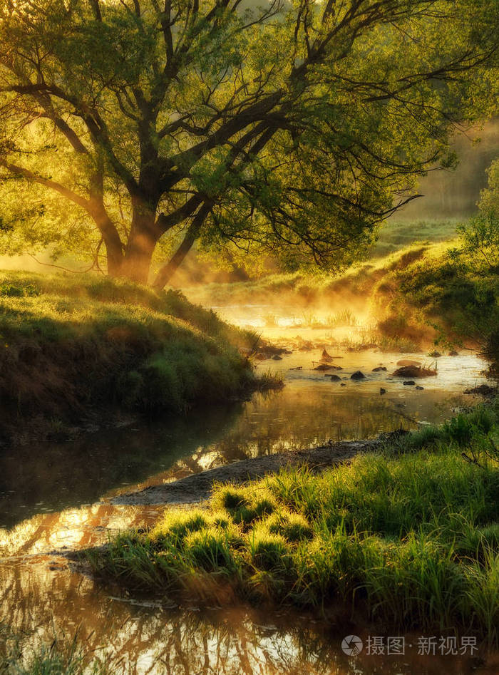 春天的早晨黎明临近风景如画的河流