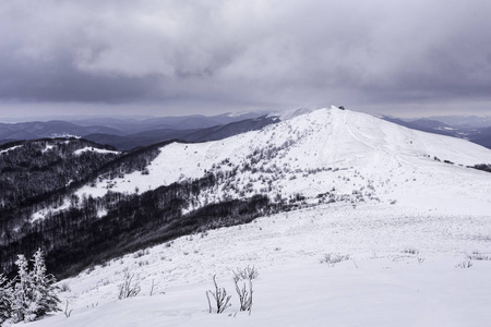 悲伤的一天在 Bieszczady