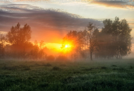 春天的早晨。 雾蒙蒙的黎明在一片风景如画的草地上。 太阳射线