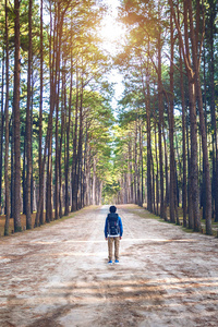 徒步旅行的人与背包在森林里行走
