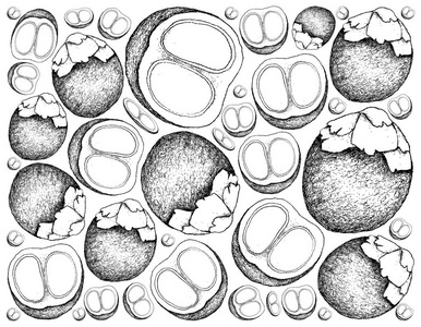 手工绘制的糖棕榈果实背景图片