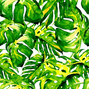 水彩无缝图案。手绘的热带树叶和花朵插图。热带夏季主题与龟背竹模式