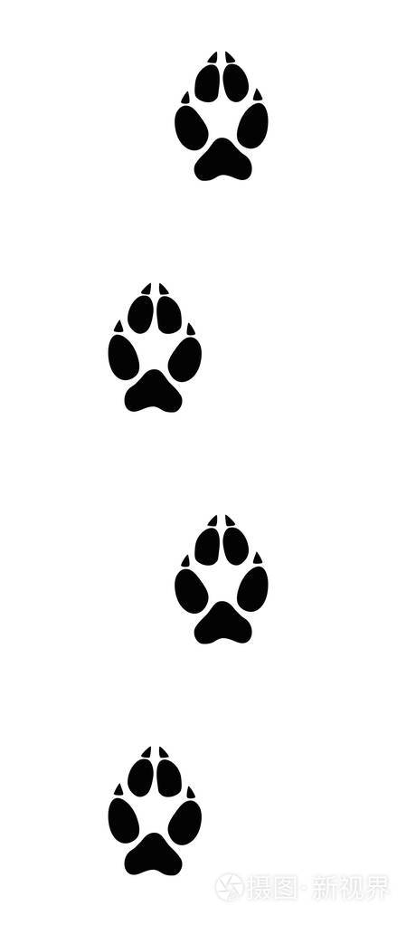 狼跟踪黑色足迹