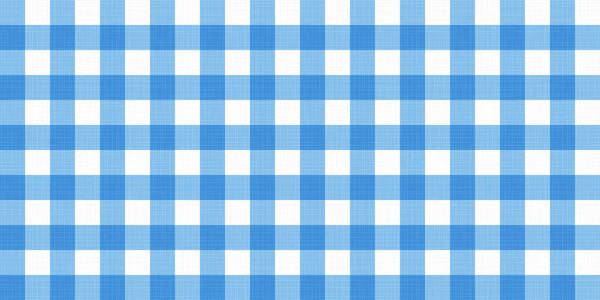 矢量格子条纹格子毯桌布.无缝白蓝表布餐巾图案背景与天然纺织质地.