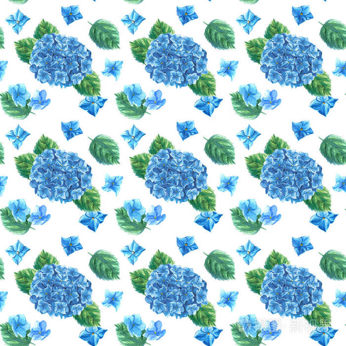 美丽的水彩蓝色绣球花和叶子无缝图案白色隔离背景光栅插图