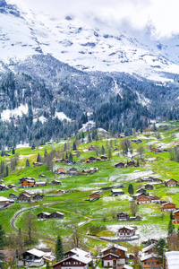瑞士因特拉附近艾格尔山下的高寒村grindelwald