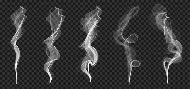 创意向量插图微妙的白色香烟烟雾波纹理设置隔离在透明的背景.
