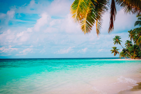 棕榈树与热带沙滩