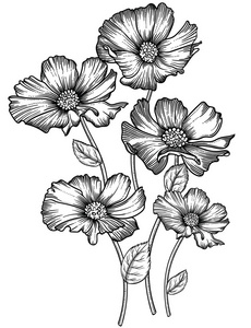 浪漫的装饰花画线艺术.在白色背景上隔离的所有草图对象.