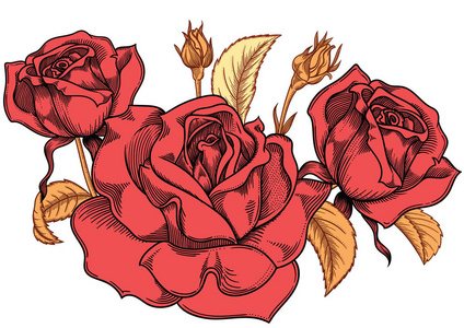 玫瑰花, 线条艺术, 矢量玫瑰花盛开的连续线条艺术绘画极简设计矢量