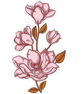 矢量浪漫装饰花画.在白色背景上隔离的对象.原创花卉装饰照片