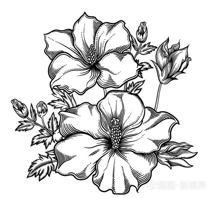 浪漫的装饰花画线艺术.在白色背景上隔离的所有草图对象.