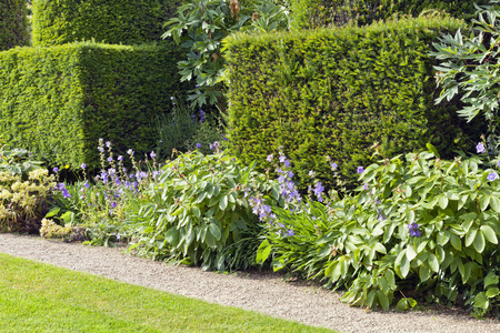 修剪红豆杉树篱，开花植物由一条小石径和草坪，在一个夏季的英国花园。
