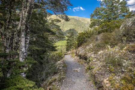 具有森林湖泊云反射刘易斯帕斯的高山景观，新西兰