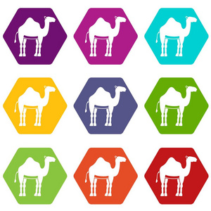 骆驼的图标设置的颜色六面体