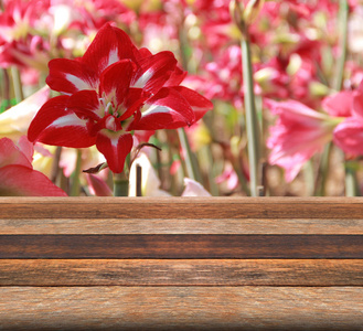 红花背景展示品前褐色木桌图片