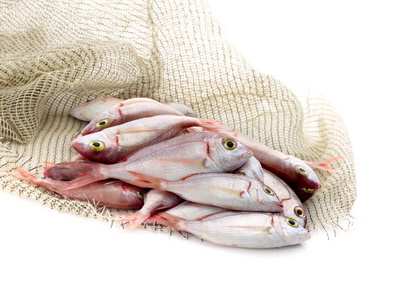 新鲜的鱼 Pagellus erythrinus 在白色背景上