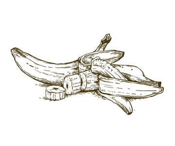 图形复古香蕉矢量插画照片