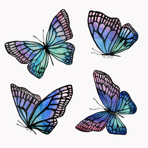 水彩蝴蝶与 b 的插图集