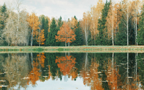秋天的森林和湖