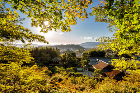 京都寺庙秋天与寺庙一个日本庭院看见