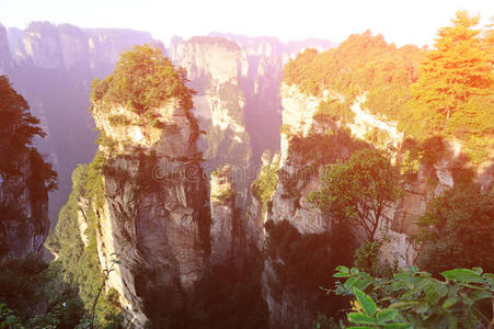 张家界山地景观