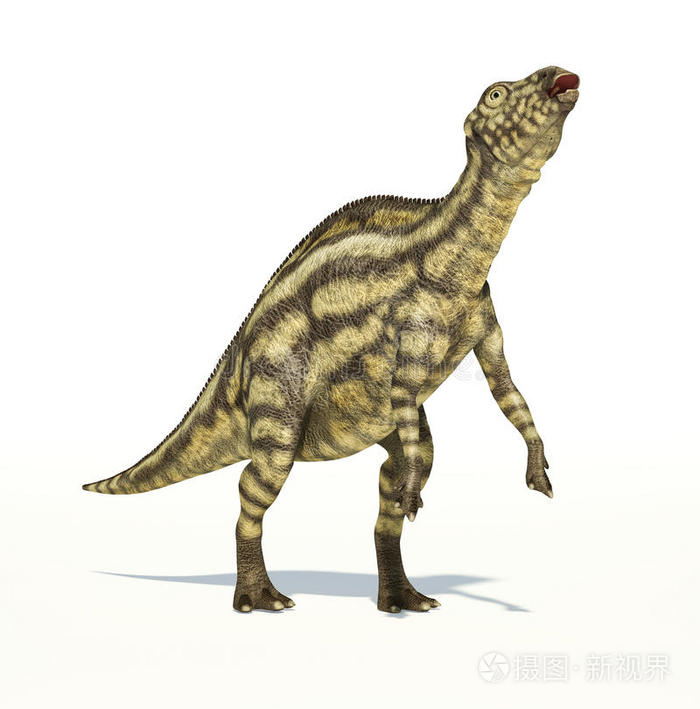 下载小样发票合同问题/举报正在孵化的母三角龙恐龙宝宝恐龙和蝴蝶有