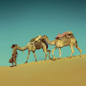 骆驼在沙漠复古风格
