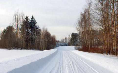 雪路冬林