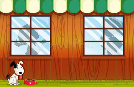 狗看家图片