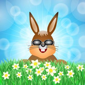 草地上的复活节兔子