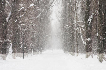 公园里的雪景有人经过