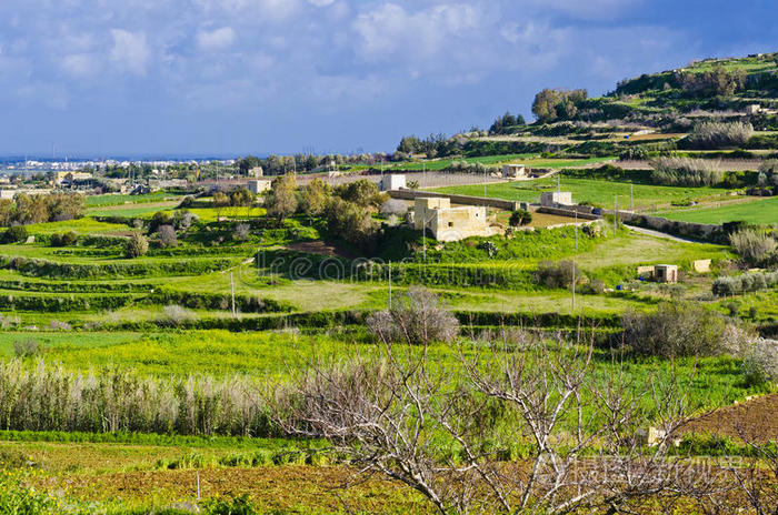 绿色梯田草地，马耳他