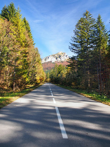 自然 直的 旅行 旅游业 斯洛伐克 风景 外部 公司 秋天