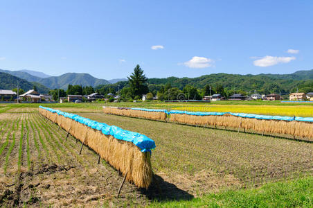 日本长野南部阿吉村景观