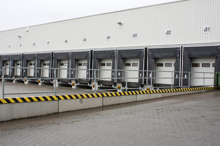 大仓鼠图片图片大全