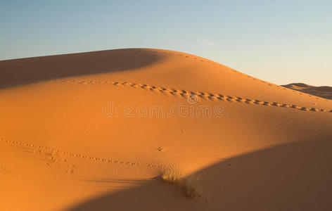 摩洛哥沙漠中的沙丘