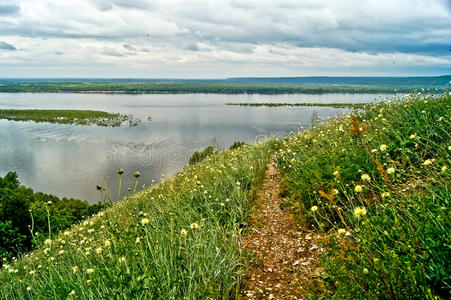 伏尔加河畔的开花草甸。