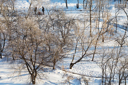 阳光明媚的冬日冰雪城市公园图片