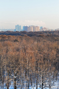 冬季城市公园晴朗寒冷的早晨