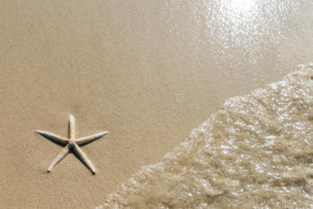 海星俯视图和波浪在光滑的沙滩背景上