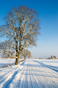 乡村道路冬季景观
