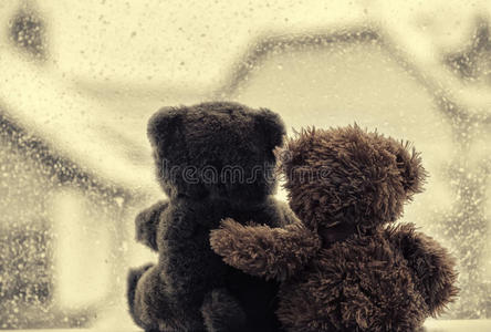 在爱的怀抱中，坐在窗前的熊