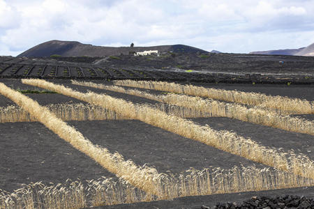 火山灰云摄影图 火山灰云图片大全 火山灰云照片 摄图新视界 火山灰云摄影图 火山灰云图片大全 火山灰云照片 摄图新视界
