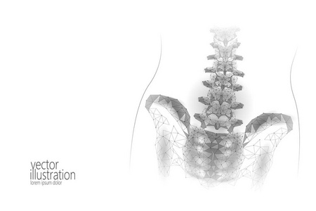 人脊柱髋关节性痛低聚。几何多边形粒子三角形点线未来医学技术抽象灰白色矢量图示